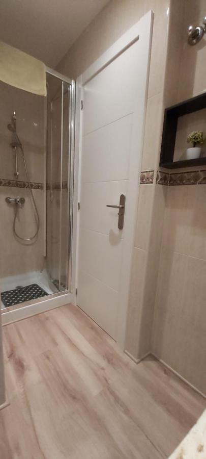 Appartement Malaga Centro Terraza Extérieur photo